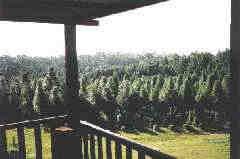 visitor
observation tower